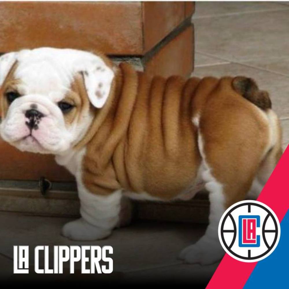 Meet your Posher, Tristan